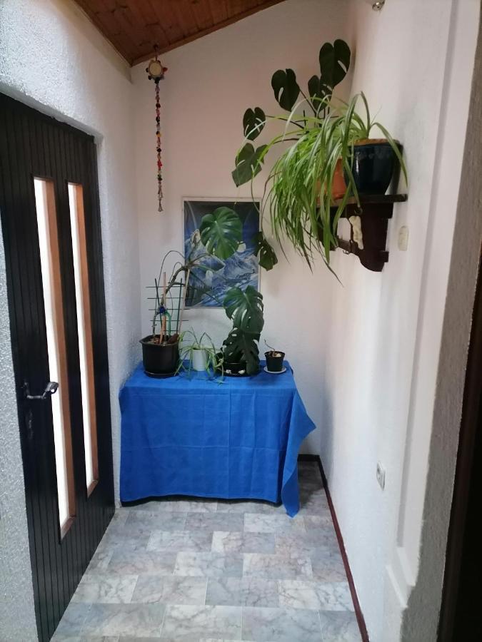 Apartman Zepina Pula Dış mekan fotoğraf